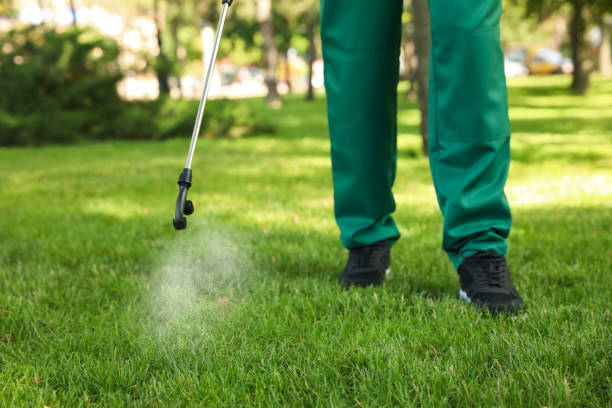Best Pest Inspection Near Me  in Harrington Park, NJ