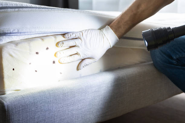 Best Exterminator Services  in Harrington Park, NJ