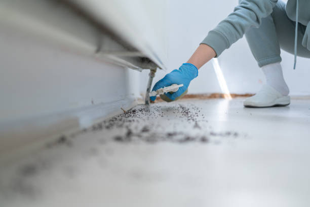 Best Cockroach Control Services  in Harrington Park, NJ
